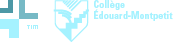Logos TIM-CEM